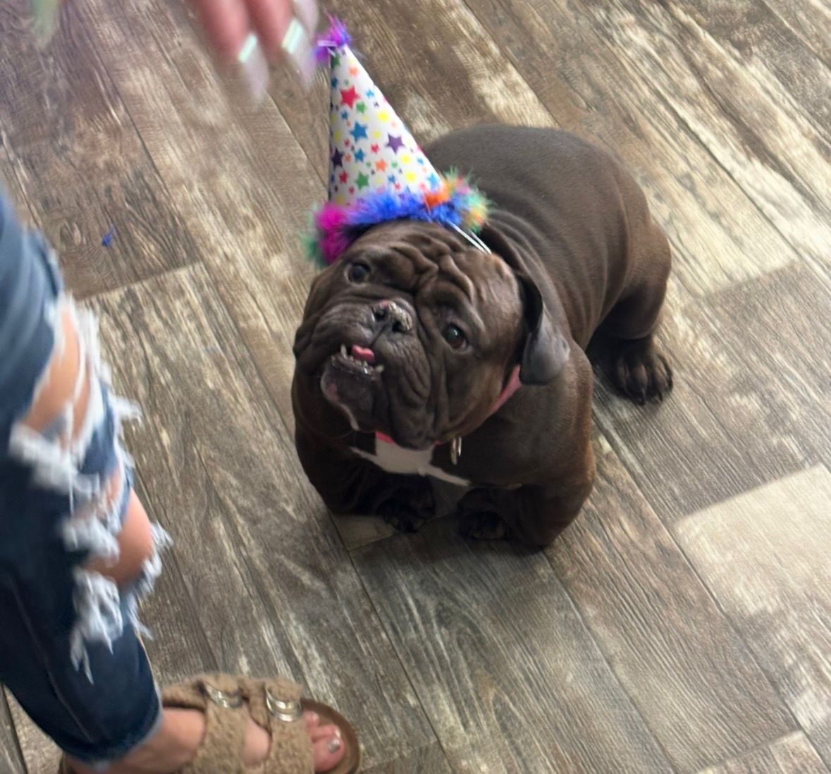 Party days are the best days