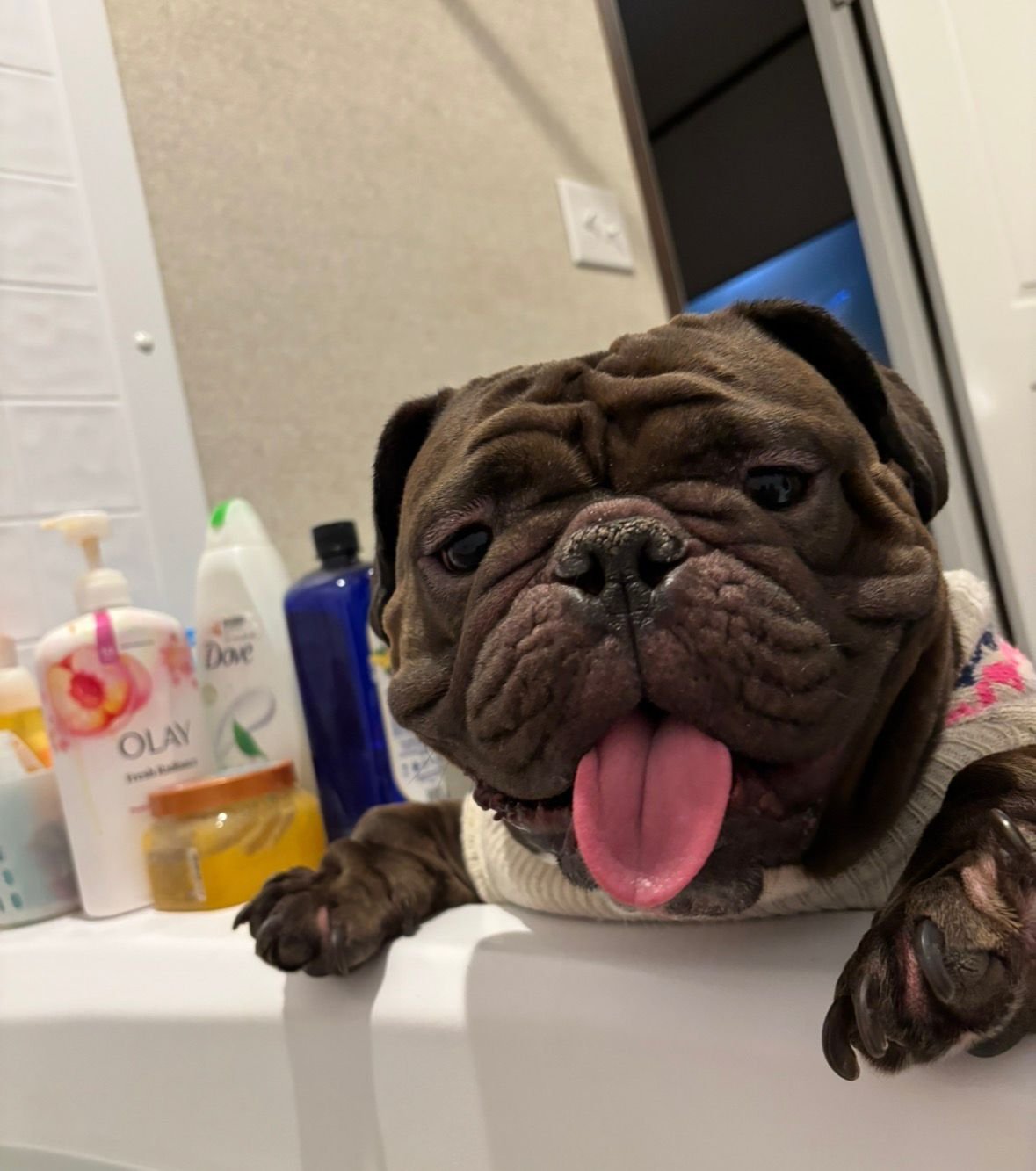 Bathroom supervisor