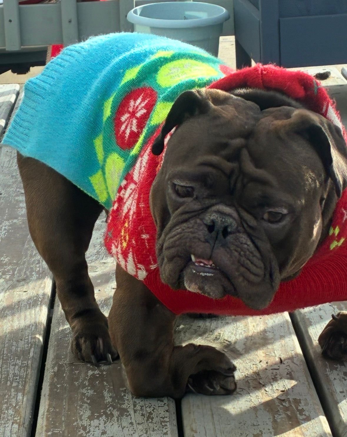 Sweater weather ready